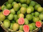 Jambu Biji Disebut Bisa Tangkal Corona, Ini Kandungannya