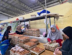 Bulan Maulid, Harga Telur di Maros Malah Turun