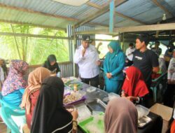 Kepiting Rajungan Kecamatan Lau Digemari Pasar Eropa