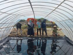 Tim Peneliti Unhas Latih Petani di Maros Produksi Garam Kualitas SNI