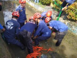 Buaya yang Muncul di Saluran Air Warga Dikembalikan ke Habitatnya