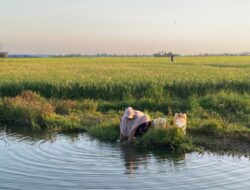 Krisis… Warga Bontoa Gunakan Air Sawah untuk Mandi