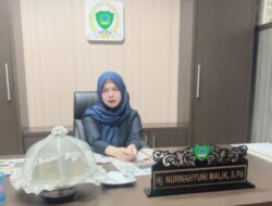 Wakil Ketua DPRD Desak Evaluasi RSUD dr La Palaloi