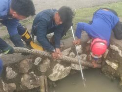 Ular Piton 5 Meter Ditemukan di Ampekale, Melawan Saat Dievakuasi
