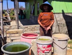Terjadi Lagi, Warga di Maros Terpaksa Pakai Air Empang untuk Mandi
