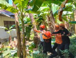 Lima Siswa SDN 14 Samangki Luka Tertimpa Pohon Tumbang