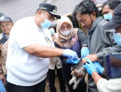 Camba Darurat Rabies, 1.000 Anjing Akan Divaksin
